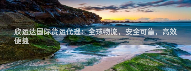 尊龙专访视频：欣运达国际货运代理：全球物流，安全可靠，高