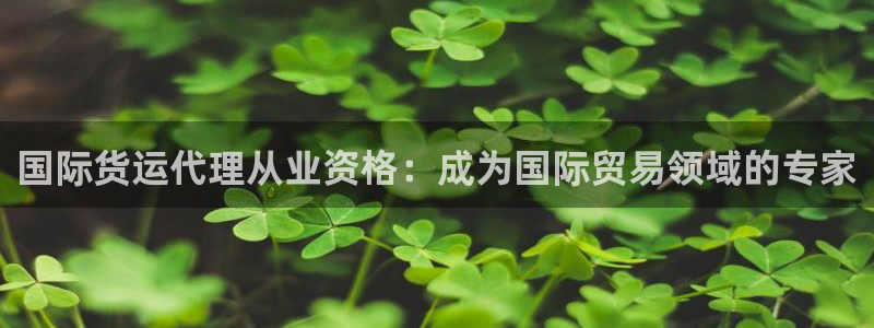尊龙凯时平台入口：国际货运代理从业资格：成为国际贸易领域