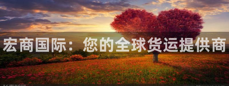 尊龙凯时人生就是博·(中国)官网：宏商国际：您的全球货运
