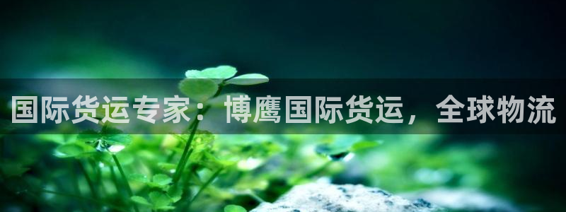z6com尊龙凯时：国际货运专家：博鹰国际货运，全球物流
