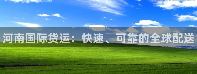尊龙凯时代理能提出来不：河南国际货运：快速、可靠的全球配