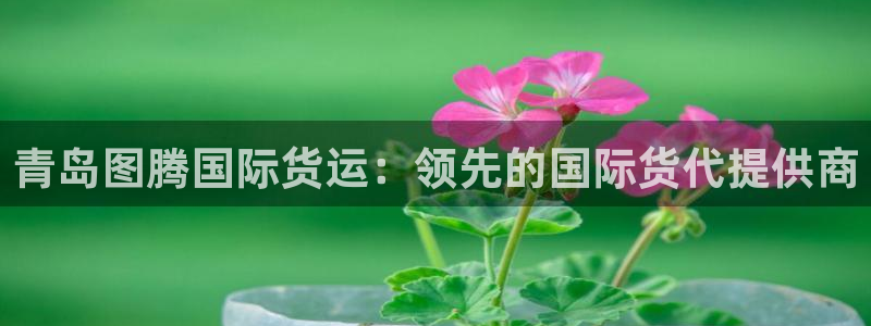 尊龙凯时邀请码：青岛图腾国际货运：领先的国际货代提供商