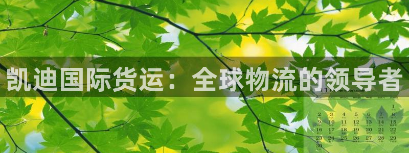 尊龙d88官网去来就送38：凯迪国际货运：全球物流的领导