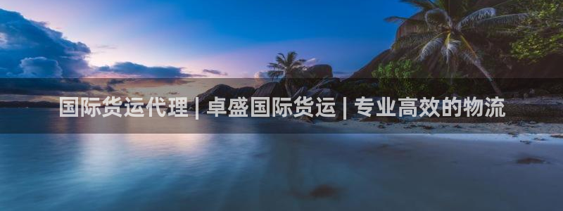 尊龙集团：国际货运代理 | 卓盛国际货运 | 专业高效的