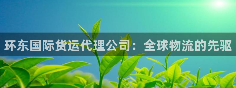尊龙凯时平台不给出款怎么办：环东国际货运代理公司：全球物