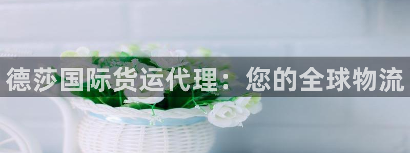 尊龙凯时处理未到账：德莎国际货运代理：您的全球物流