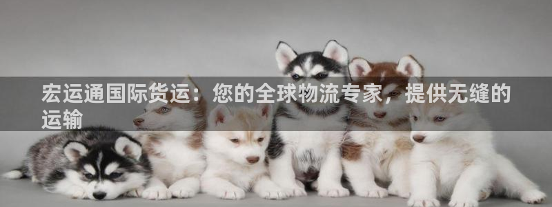 尊龙官方网站：宏运通国际货运：您的全球物流专家，提供无缝