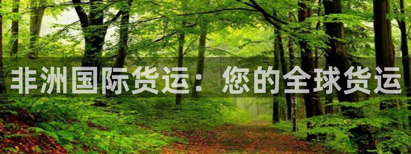 尊龙凯时网娱乐最新版下载：非洲国际货运：您的全球货运