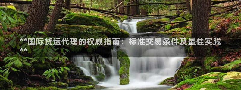 尊龙凯时网站不让提款：**国际货运代理的权威指南：标准交