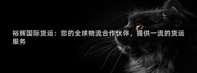 尊龙t400和尊龙t300区别：裕辉国际货运：您的全球物