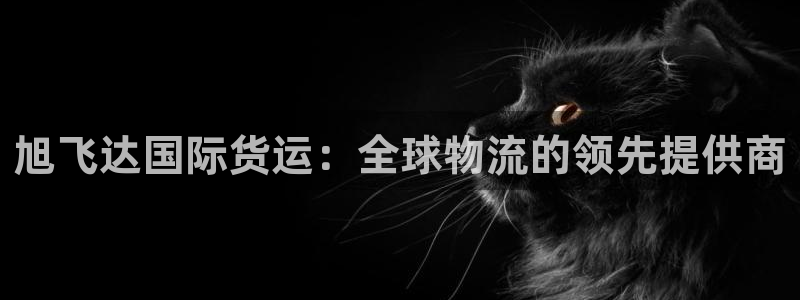 尊龙手机官方客户端下载安卓：旭飞达国际货运：全球物流的领