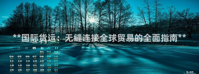 尊龙凯时是赌博嘛：**国际货运：无缝连接全球贸易的全面指