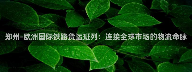 尊龙 5：郑州-欧洲国际铁路货运班列：连接全球市场的物流