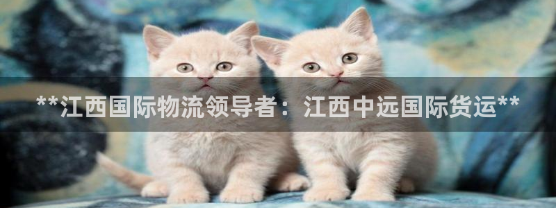 尊龙人生就是博旧：**江西国际物流领导者：江西中远国际货