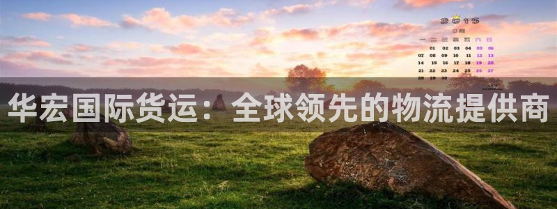 尊龙凯时官网登录入口：华宏国际货运：全球领先的物流提供商