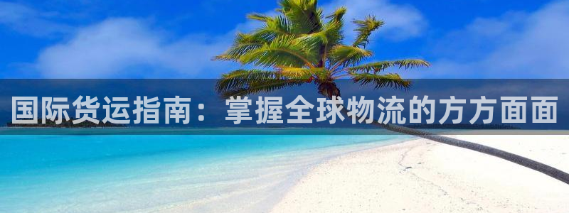 z6com尊龙凯时：国际货运指南：掌握全球物流的方方面面