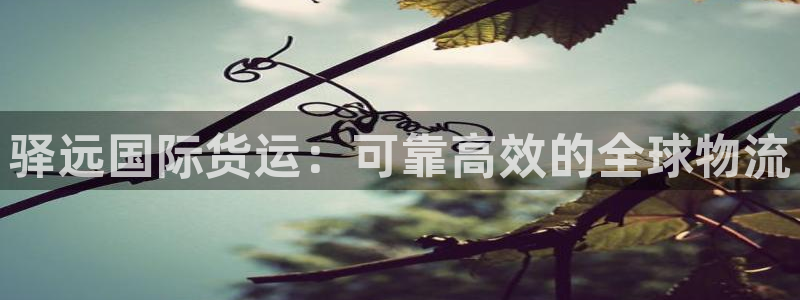 z6com尊龙：驿远国际货运：可靠高效的全球物流
