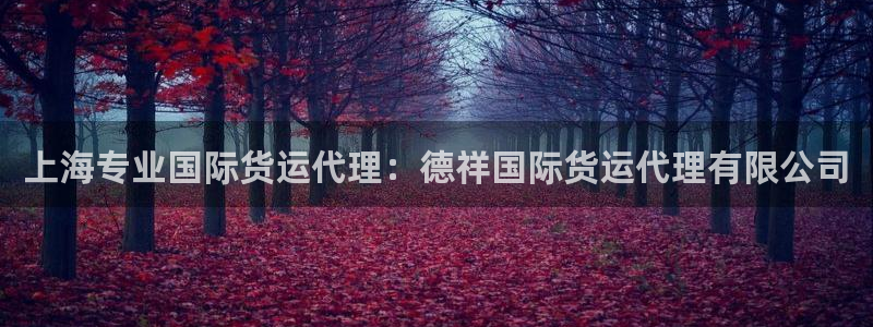 尊龙凯时正规吗：上海专业国际货运代理：德祥国际货运代理有
