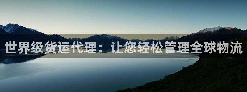 尊龙凯时代理佣金发不发：世界级货运代理：让您轻松管理全球