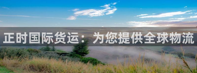 尊龙官网国际：正时国际货运：为您提供全球物流