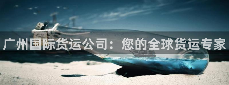 尊龙165：广州国际货运公司：您的全球货运专家