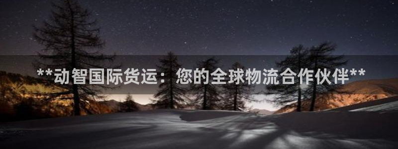 尊龙凯时家居是品牌吗： **动智国际货运：您的全球物流合