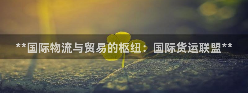 尊龙棋牌软件有挂吗：**国际物流与贸易的枢纽：国际货运联