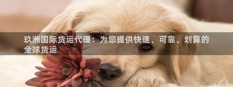 尊龙人生就是博登录准认来就送38：玖洲国际货运代理：为您