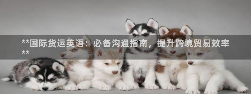 尊龙人生就是博l：**国际货运英语：必备沟通指南，提升跨