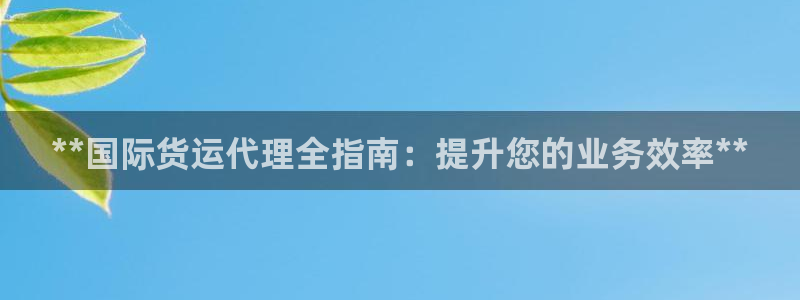 尊龙新版app首页：**国际货运代理全指南：提升您的业务