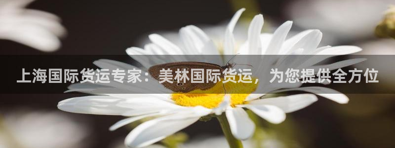 尊龙d88官网可靠送38元：上海国际货运专家：美林国际货