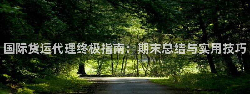 尊龙人生手机版都去ag发财网：国际货运代理终极指南：期末