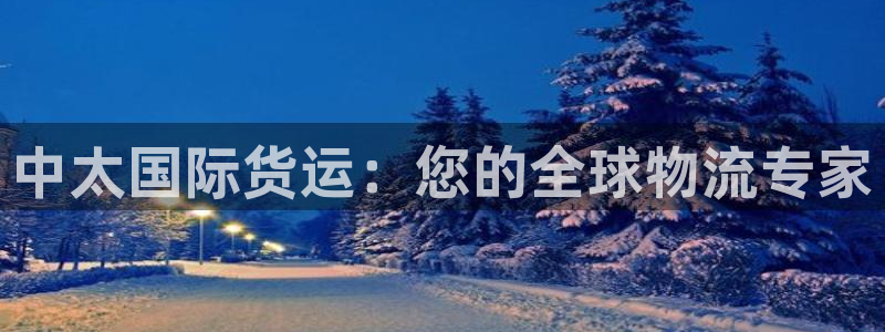尊龙物流怎么样：中太国际货运：您的全球物流专家