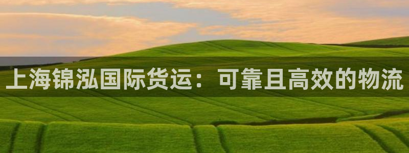 尊龙集团有限公司官网：上海锦泓国际货运：可靠且高效的物流