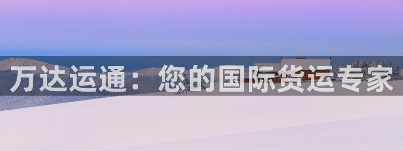 尊龙集团：万达运通：您的国际货运专家