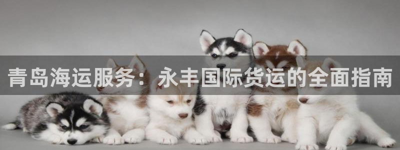 尊龙官方平台是正品吗：青岛海运服务：永丰国际货运的全面指