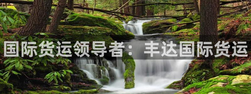尊龙精品棋牌：国际货运领导者：丰达国际货运