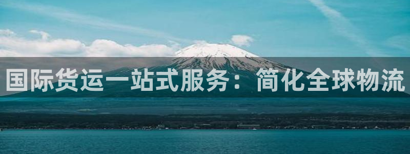 尊龙凯时不给提款：国际货运一站式服务：简化全球物流