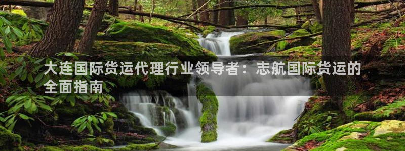 尊龙网平台：大连国际货运代理行业领导者：志航国际货运的
