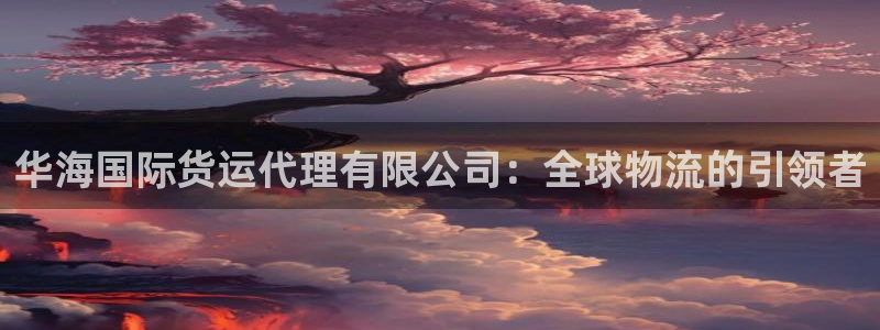 尊龙网站手机下载：华海国际货运代理有限公司：全球物流的引