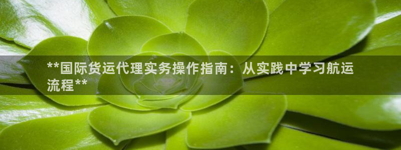 尊龙凯时最新平台登陆：**国际货运代理实务操作指南：从实