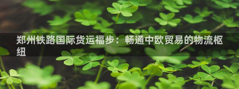 尊龙 am i blue：郑州铁路国际货运福步：畅通中欧