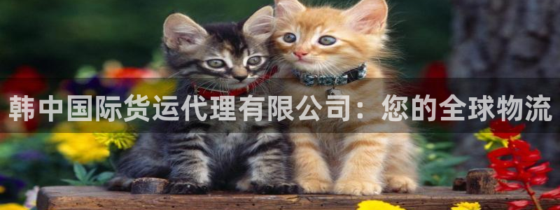 尊龙网址苹果版下载：韩中国际货运代理有限公司：您的全球物