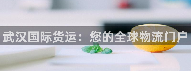 尊龙coming to my own：武汉国际货运：您的