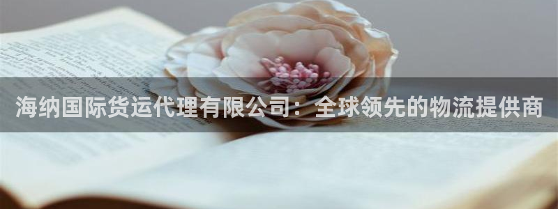 尊龙凯时 人生就是搏：海纳国际货运代理有限公司：全球领先