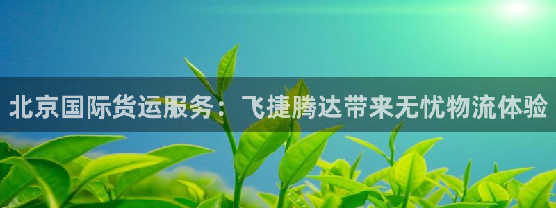 尊龙ag旗舰厅下载：北京国际货运服务：飞捷腾达带来无忧物