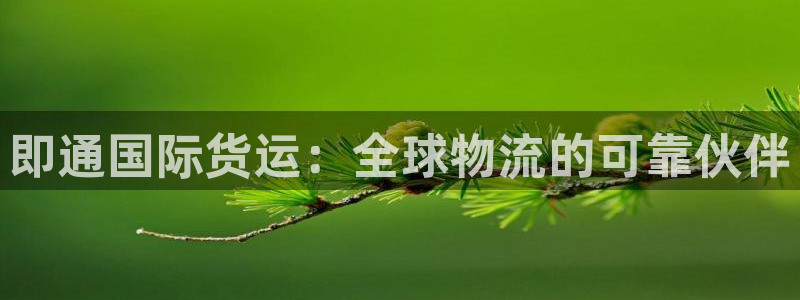 尊龙凯时的最新消息：即通国际货运：全球物流的可靠伙伴