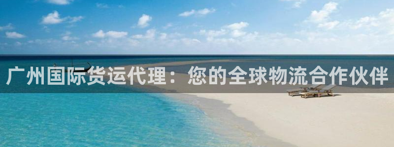 尊龙凯时里面的洗码：广州国际货运代理：您的全球物流合作伙