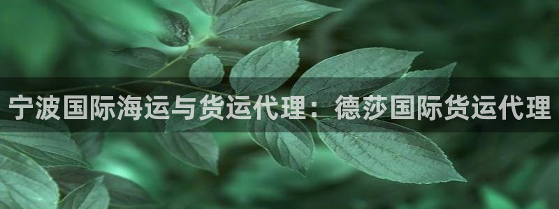 尊龙d88平台登录：宁波国际海运与货运代理：德莎国际货运