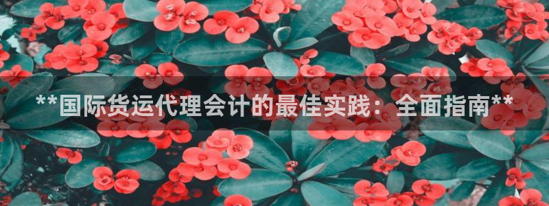 尊龙人生就是博旧版：**国际货运代理会计的最佳实践：全面